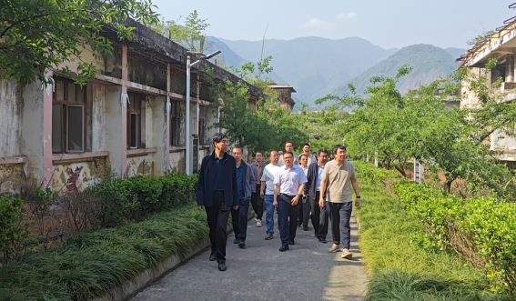 141747232114173561.png image.png